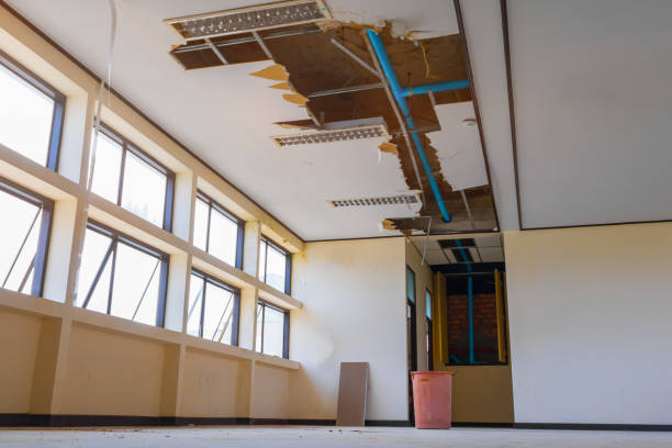 Best Flood damage cleanup  in Park Ridge, IL