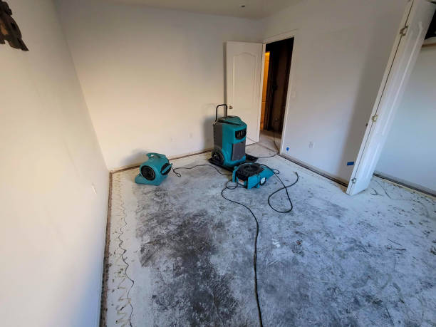 Best Local water damage restoration  in Park Ridge, IL