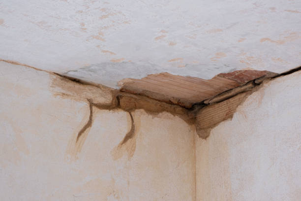 Best Commercial water damage restoration  in Park Ridge, IL