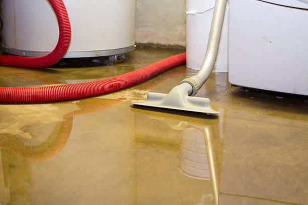 Best Water damage restoration near me  in Park Ridge, IL