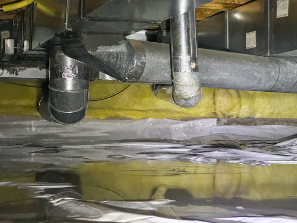 Best Professional water damage repair  in Park Ridge, IL