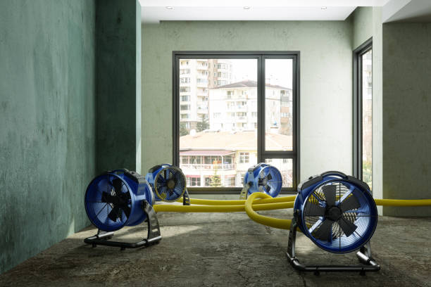  Park Ridge, IL Water damage restoration Pros