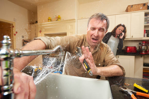 Best Sewage cleanup and water damage restoration  in Park Ridge, IL